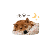844298042