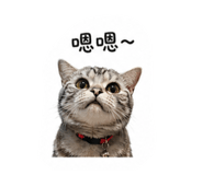 844298640