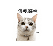 844298834
