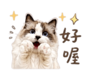 844299089
