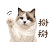 844299090
