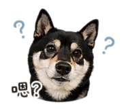 844299838