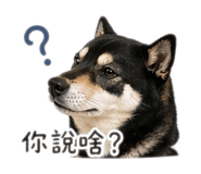 844299849
