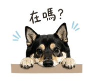 844299858