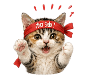 844300055