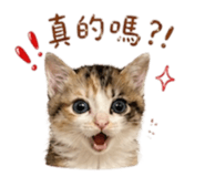 844300069
