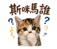 844300079