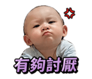 844300116