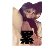 844303346
