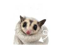 844304050