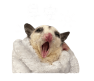 844304051