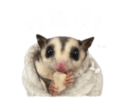 844304053