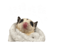 844304054