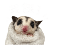 844304057