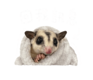 844304058