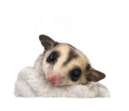 844304059