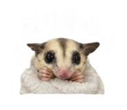 844304060