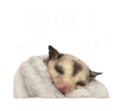 844304061