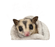 844304063