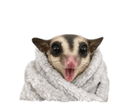 844304107
