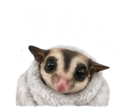 844304112