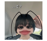 844305204