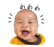 844305716