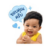 844305826