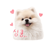 844306849