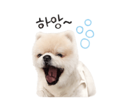 844306850
