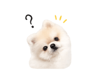 844306851