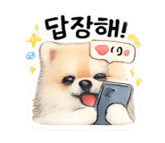 844306891