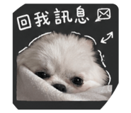 844307468