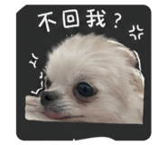 844307473