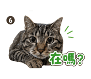 844307510