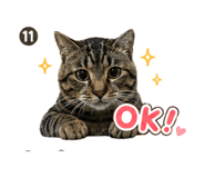 844307515