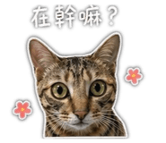 844307618