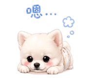 844307669