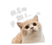 844307797