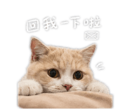 844307798