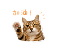 844307887