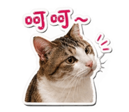 844308002