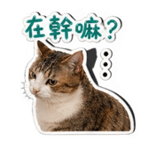 844308013