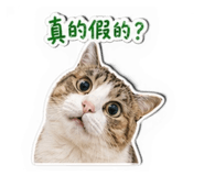 844308047