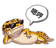 844308063