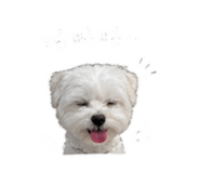 844308329