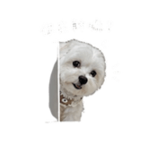 844308337