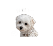 844308342