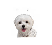 844308352