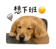 844308469